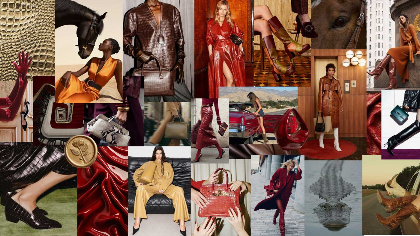 Inspiración y moodboard de la colección Otoño Invierno 2026 de Regina Romero