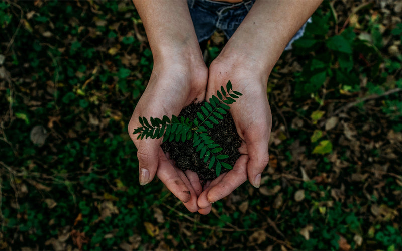Regina Romero: una Marca Sustentable.