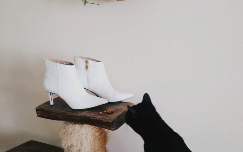 El Gato con Botas: el estatus de un buen calzado.