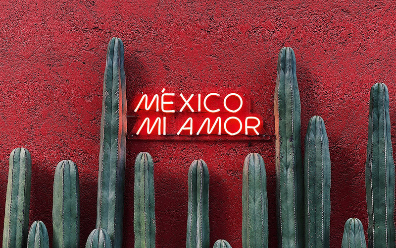 ¿Malinchismo en Extinción?