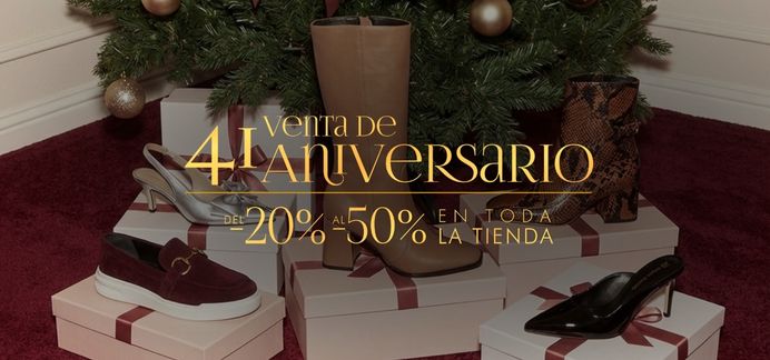 El Buen Fin Regina Romero