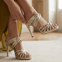 MINERVA 105 - Champagne