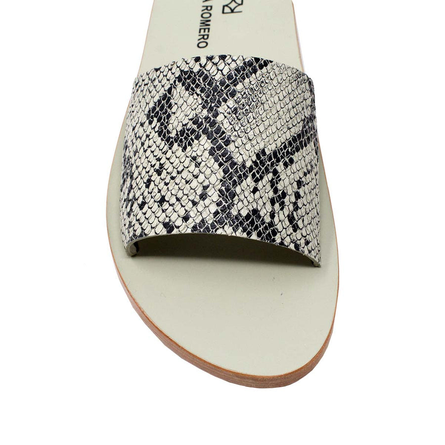 Snake Hueso