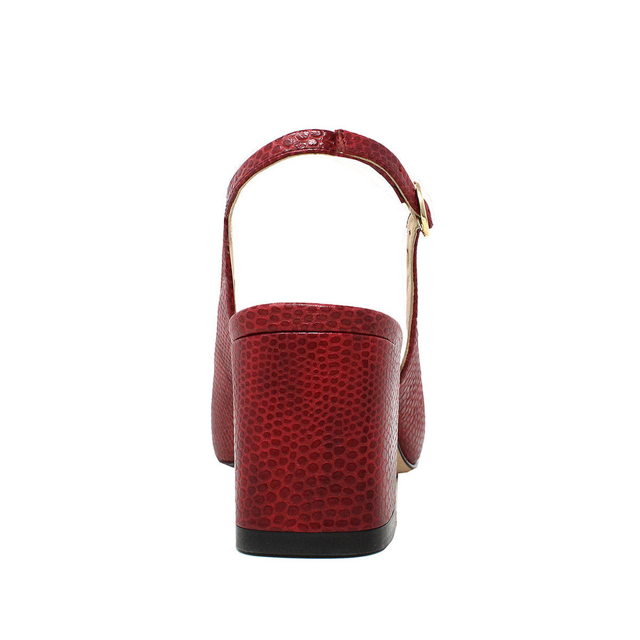 Lizard Rojo